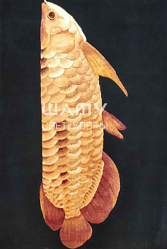 Ковер Fauna Т035 Black прямоугольник